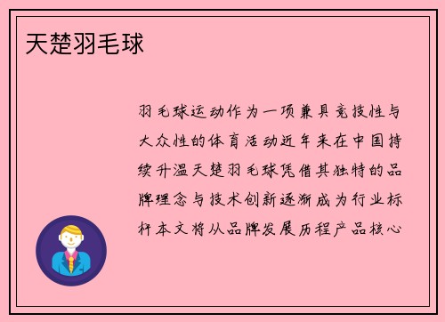 天楚羽毛球